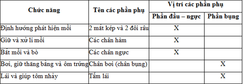 Lý thuyết Sinh học 7 Bài 22: Tôm sông hay, ngắn gọn