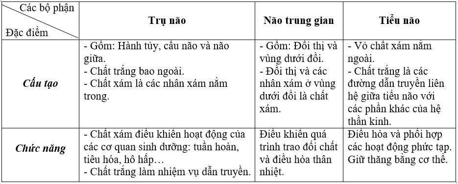 Giải bài 1 trang 146 sgk Sinh 8 | Để học tốt Sinh 8