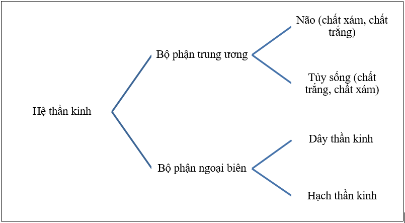 Giải bài 2 trang 138 sgk Sinh 8 | Để học tốt Sinh 8