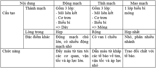 Lý thuyết Sinh học 8 Bài 17: Tim và mạch máu hay, ngắn gọn