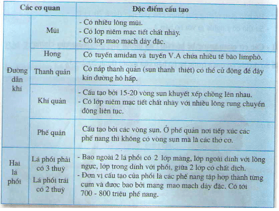 Lý thuyết Sinh học 8 Bài 20: Hô hấp và các cơ quan hô hấp hay, ngắn gọn