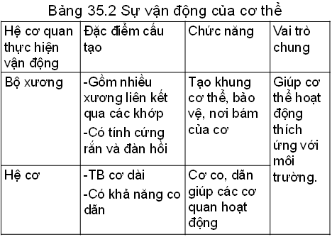 Lý thuyết Sinh học 8 Bài 35: Ôn tập học kì I hay, ngắn gọn