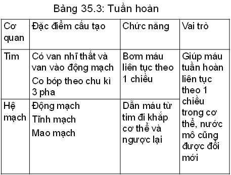 Lý thuyết Sinh học 8 Bài 35: Ôn tập học kì I hay, ngắn gọn