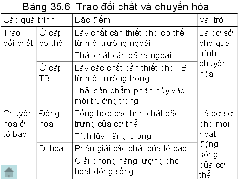 Lý thuyết Sinh học 8 Bài 35: Ôn tập học kì I hay, ngắn gọn