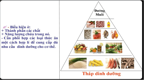 Lý thuyết Sinh học 8 Bài 36: Tiêu chuẩn ăn uống. Nguyên tắc lập khẩu phần hay, ngắn gọn