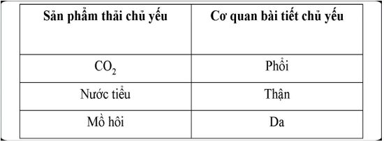 Lý thuyết Sinh học 8 Bài 38: Bài tiết và cấu tạo hệ bài tiết nước tiểu hay, ngắn gọn