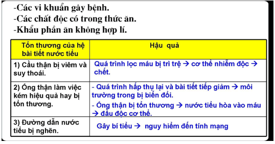 Lý thuyết Sinh học 8 Bài 40: Vệ sinh hệ bài tiết nước tiểu hay, ngắn gọn