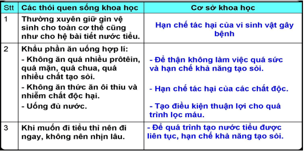 Lý thuyết Sinh học 8 Bài 40: Vệ sinh hệ bài tiết nước tiểu hay, ngắn gọn