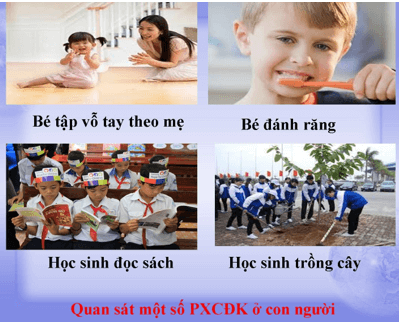 Lý thuyết Sinh học 8 Bài 53: Hoạt động cấp cao ở người hay, ngắn gọn