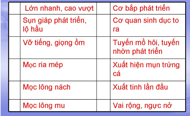 Lý thuyết Sinh học 8 Bài 58: Tuyến sinh dục hay, ngắn gọn