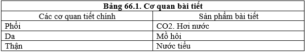 Lý thuyết Sinh học 8 Bài 66: Ôn tập - Tổng kết hay, ngắn gọn