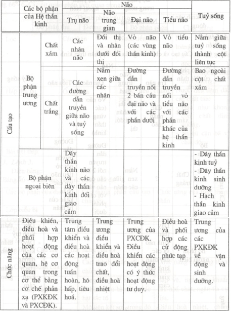 Lý thuyết Sinh học 8 Bài 66: Ôn tập - Tổng kết hay, ngắn gọn