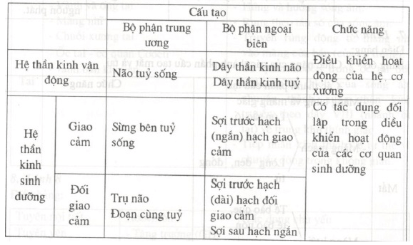 Lý thuyết Sinh học 8 Bài 66: Ôn tập - Tổng kết hay, ngắn gọn