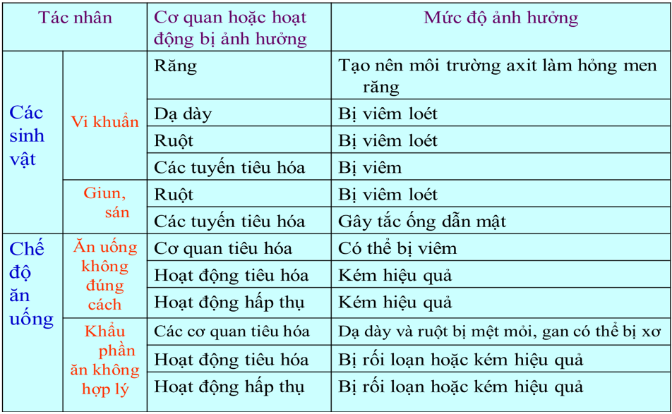 Giải bài tập Sinh học 8 | Trả lời câu hỏi Sinh 8