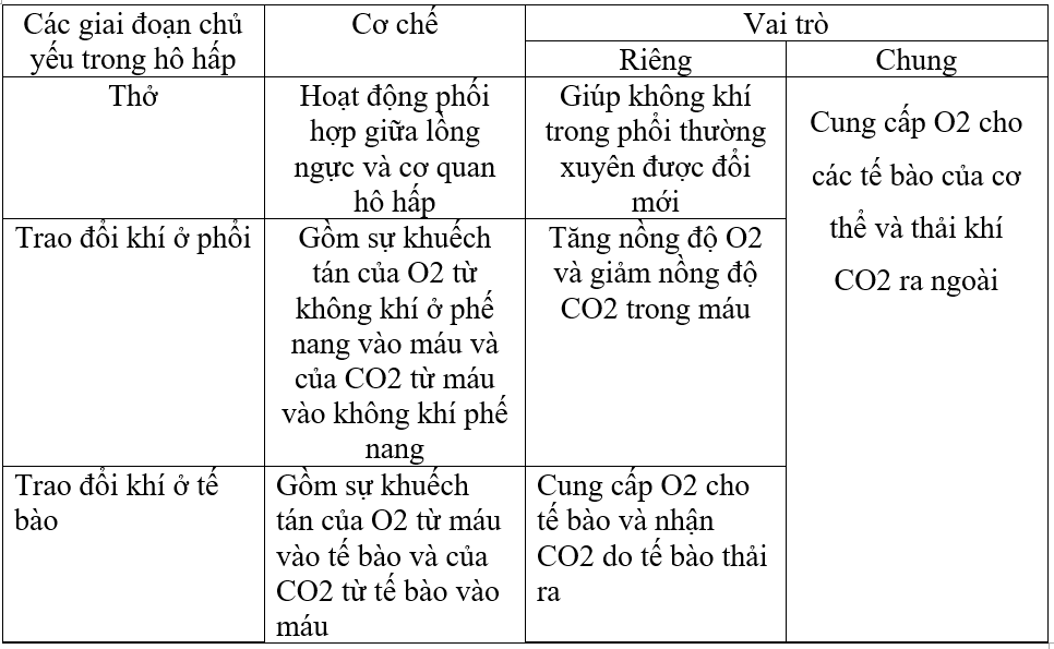 Giải bài tập Sinh học 8 | Trả lời câu hỏi Sinh 8