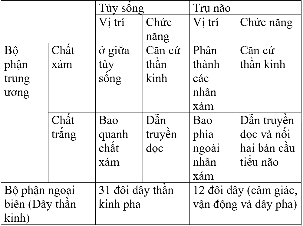 Giải bài tập Sinh học 8 | Trả lời câu hỏi Sinh 8