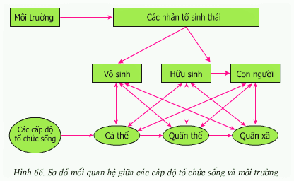 Giải bài 1 trang 197 sgk Sinh 9 | Để học tốt Sinh 9