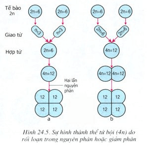 Giải bài 2 trang 71 sgk Sinh 9 | Để học tốt Sinh 9