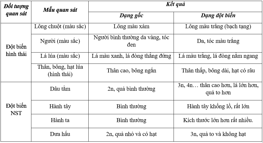 Giải bài 26 thực hành sgk Sinh 9 | Để học tốt Sinh 9