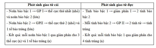 Lý thuyết Sinh học 9 Bài 11: Phát sinh giao tử và thụ tinh hay, chi tiết