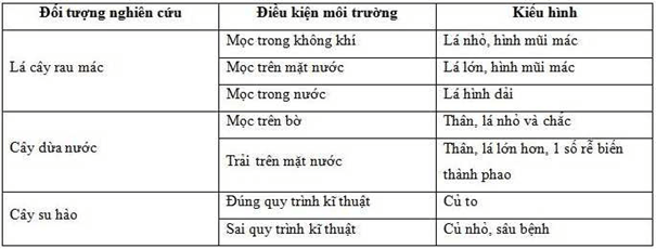 Lý thuyết Sinh học 9 Bài 25: Thường biến hay, chi tiết