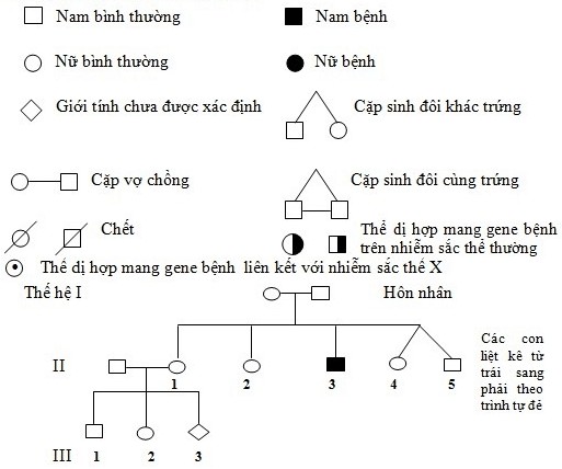 Lý thuyết Sinh học 9 Bài 28: Phương pháp nghiên cứu di truyền người hay, chi tiết