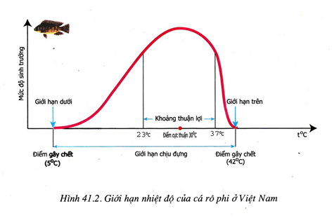 Lý thuyết Sinh học 9 Bài 41: Môi trường và các nhân tố sinh thái hay, chi tiết