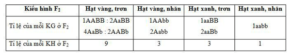 Lý thuyết Sinh học 9 Bài 5: Lai hai cặp tính trạng tiếp theo hay, chi tiết