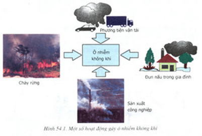 Lý thuyết Sinh học 9 Bài 54: Ô nhiễm môi trường hay, chi tiết