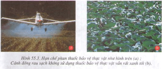 Lý thuyết Sinh học 9 Bài 55: Ô nhiễm môi trường tiếp theo hay, chi tiết