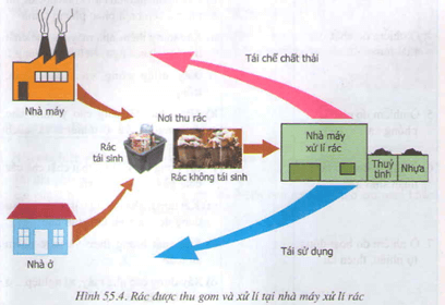 Lý thuyết Sinh học 9 Bài 55: Ô nhiễm môi trường tiếp theo hay, chi tiết