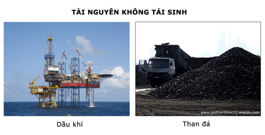 Lý thuyết Sinh học 9 Bài 58: Sử dụng hợp lí tài nguyên thiên nhiên hay, chi tiết