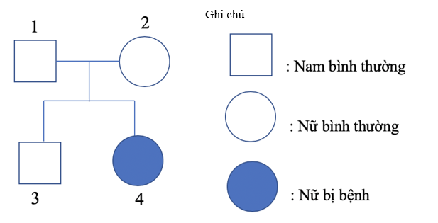 Trắc nghiệm Sinh học 9 Bài 28 (có đáp án) : Phương pháp nghiên cứu di truyền người