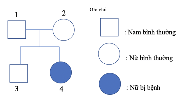 Trắc nghiệm Sinh học 9 Bài 28 (có đáp án) : Phương pháp nghiên cứu di truyền người