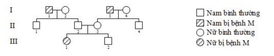 Trắc nghiệm Sinh học 9 Bài 28 (có đáp án) : Phương pháp nghiên cứu di truyền người