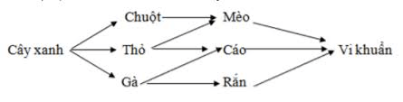 Trắc nghiệm Sinh học 9 Bài 50 (có đáp án) : Hệ sinh thái