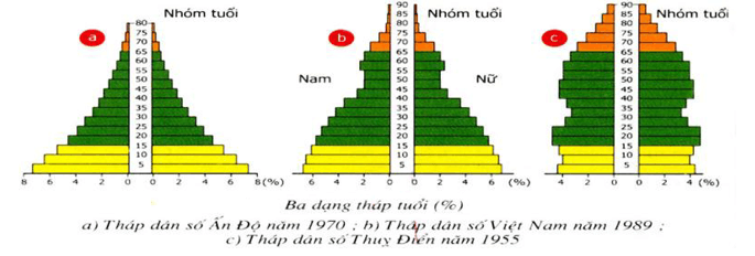 Trắc nghiệm Sinh học 9 Bài 48 có đáp án năm 2023