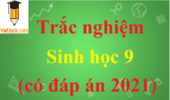 Câu hỏi trắc nghiệm Sinh học 9 năm 2024 có đáp án