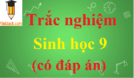 1000 câu hỏi trắc nghiệm Sinh học 9 có đáp án