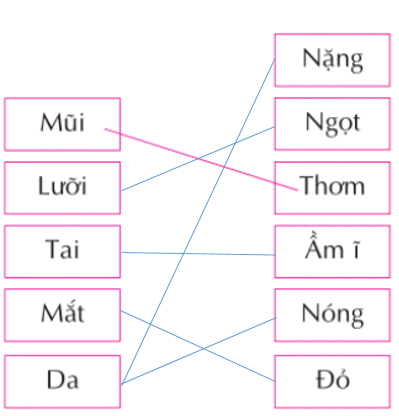 Bài 7 trang 15 SGK Tin học 3 | Giải bài tập Tin học lớp 3 hay nhất tại VietJack