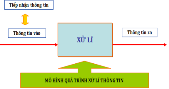 Lý thuyết Tin học 6 Bài 1: Thông tin và tin học (hay, chi tiết)