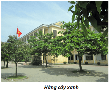 Giải bài tập Tin học 9 | Để học tốt Tin học 9