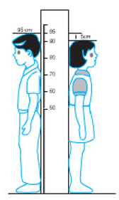 Giải Toán lớp 2 trang 30 Bài toán về ít hơn  