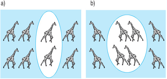 Giải Toán lớp 2 trang 120 Luyện tập  