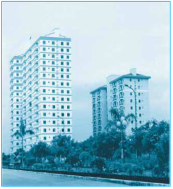 Giải Toán lớp 2 trang 31 Luyện tập  