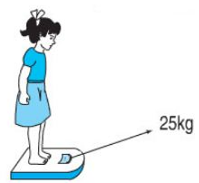 Giải Toán lớp 2 trang 33 Luyện tập  