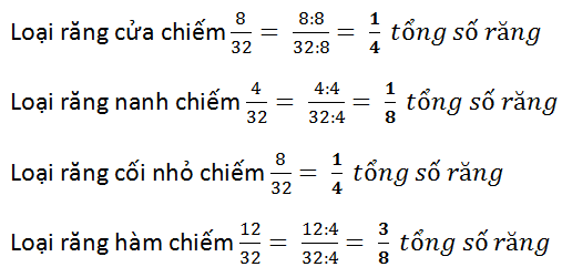 Giải bài 16 trang 15 sgk Toán lớp 6 Tập 2 | Giải toán lớp 6