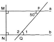 Giải bài 2 trang 91 sgk Toán lớp 7 Tập 2 | Giải toán lớp 7