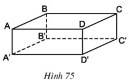 Video Giải bài tập Toán lớp 8 hay, chi tiết