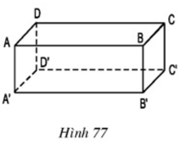 Video Giải bài tập Toán lớp 8 hay, chi tiết